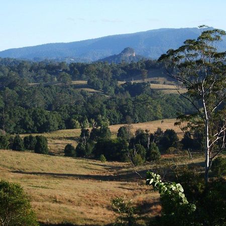 Grey Gum Lodge Nimbin Esterno foto