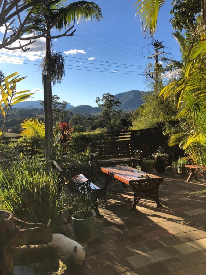 Grey Gum Lodge Nimbin Esterno foto