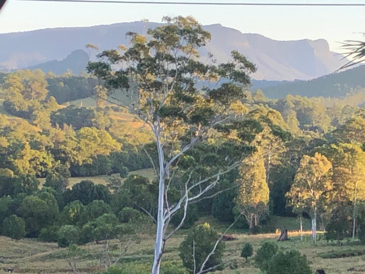 Grey Gum Lodge Nimbin Esterno foto