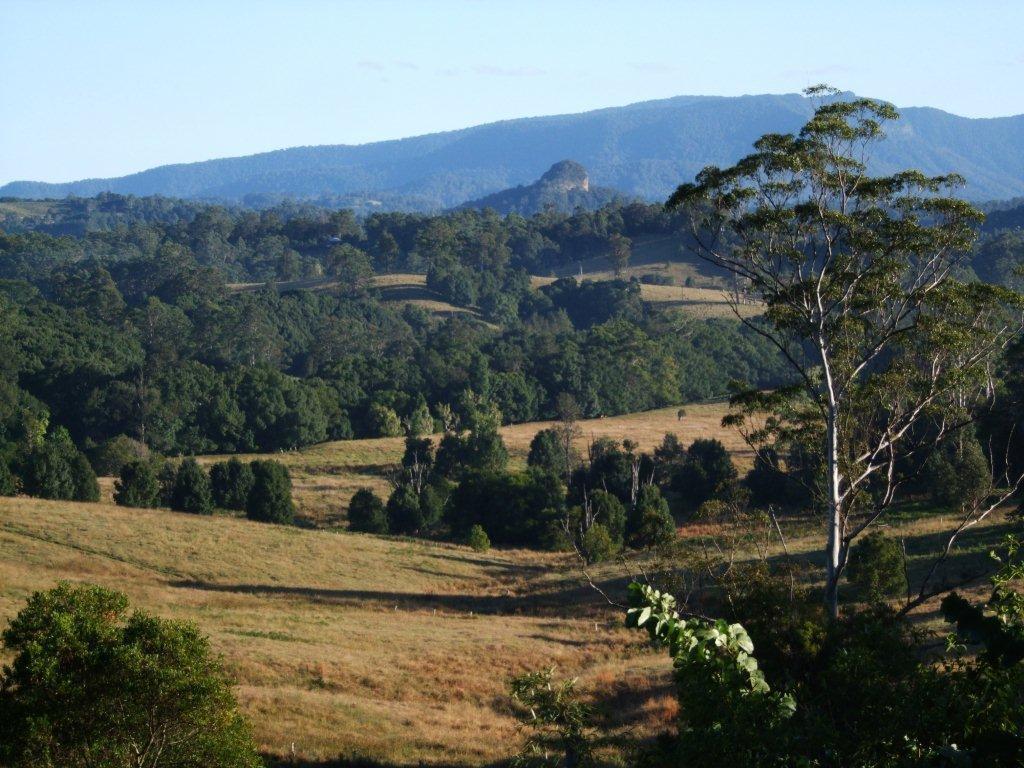 Grey Gum Lodge Nimbin Esterno foto