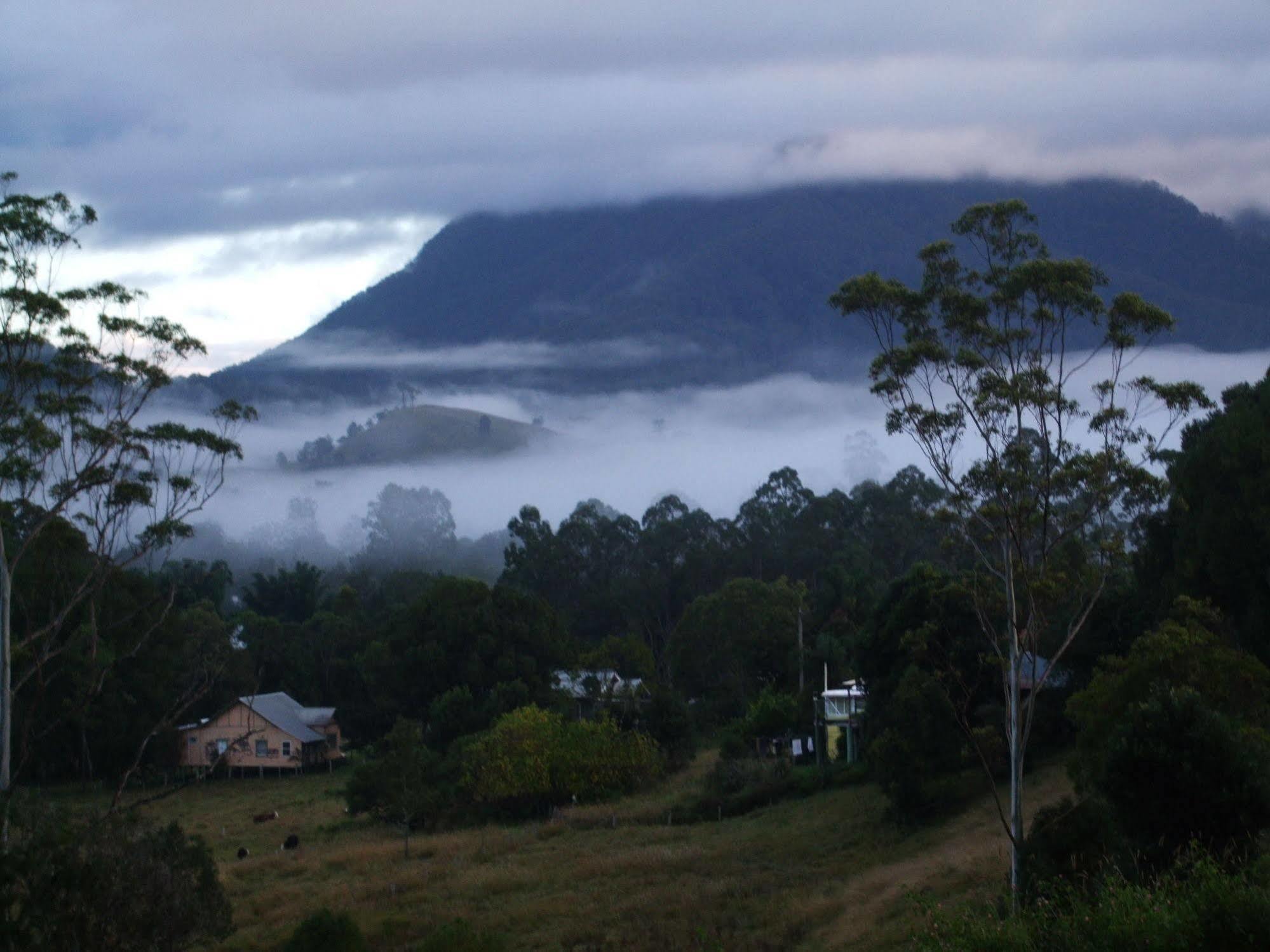 Grey Gum Lodge Nimbin Esterno foto