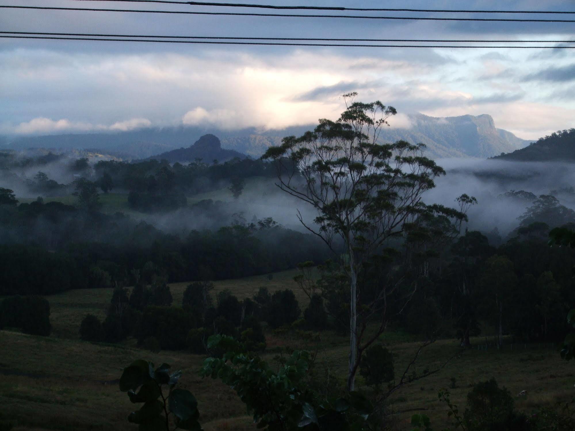 Grey Gum Lodge Nimbin Esterno foto